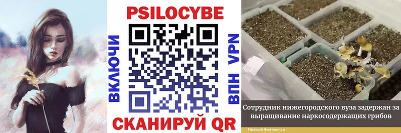 где продают   Алупка  блэк спрут зеркало  Галлюциногенные грибы MAGIC MUSHROOMS 